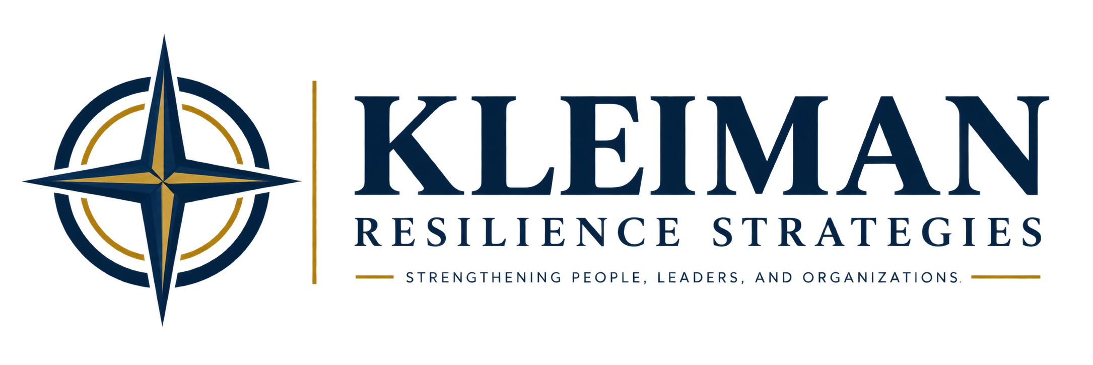 Kleiman Resilience Strategies